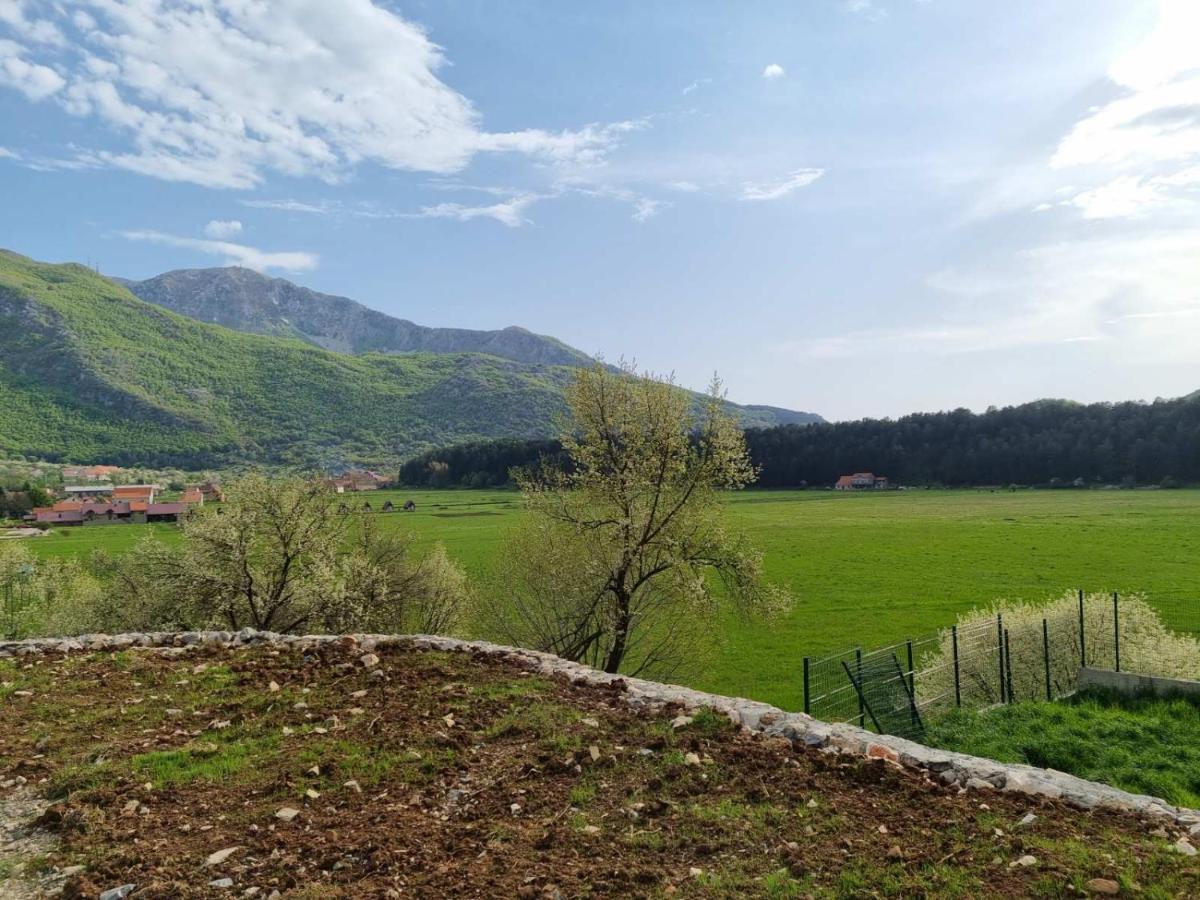 Porto Njegusi A2 Daire Cetinje Dış mekan fotoğraf